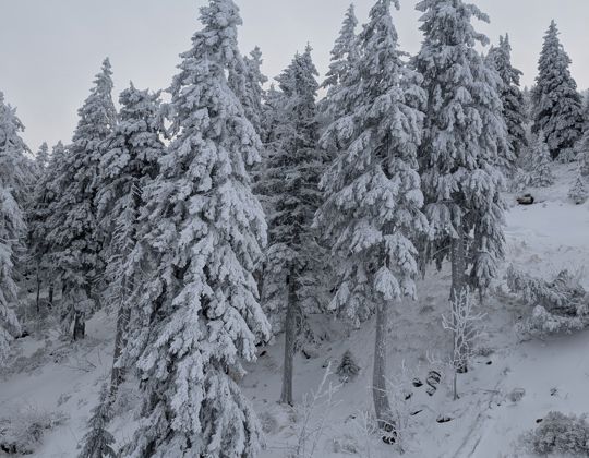 2026_Skikurs Termin I